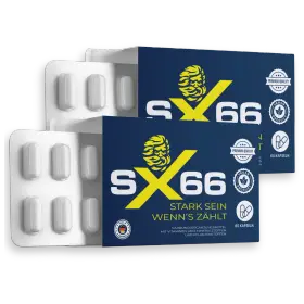 SX66 — 2 month bundle